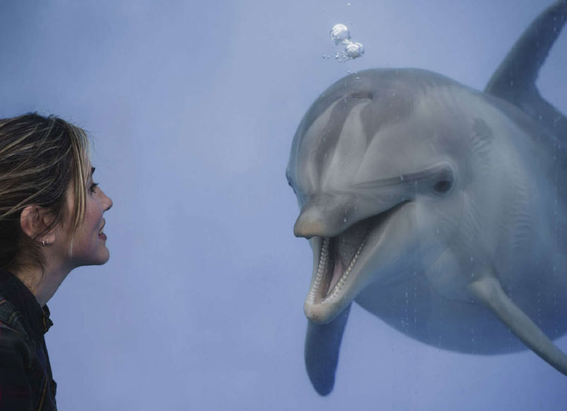 Foto de OCEANOGRÀFIC