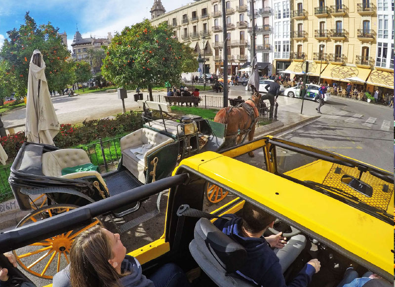 VALENCIA CITY SAFARI<br /><strong>VISITA <strong class='extra_info_articulo'>- desde 59.00 € </strong></strong>