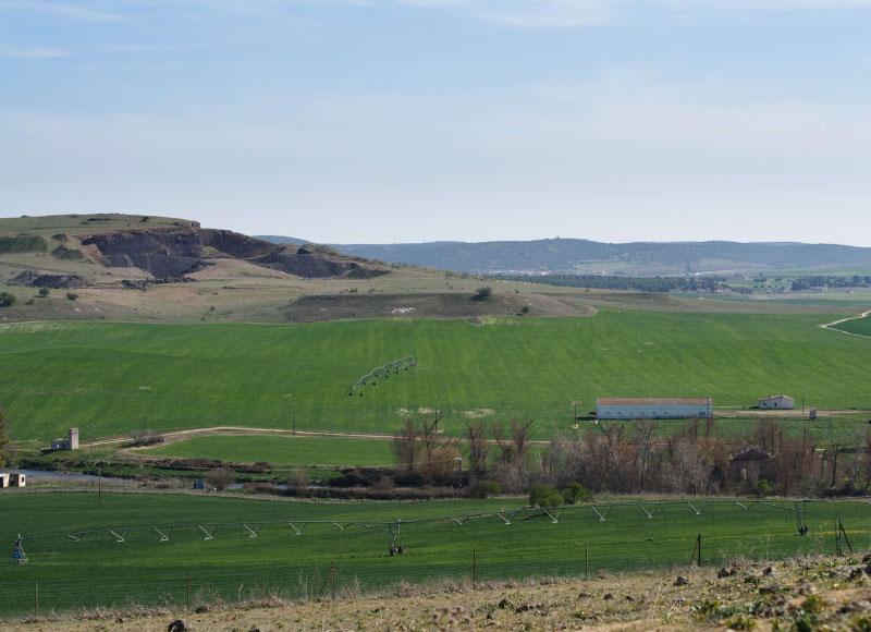 PASEO POR LA FINCA DE FUENTILLEZJOS Y CATA DE QUESOS EN EL CAMPO<br /><strong>CATA PREMIUM <strong class='extra_info_articulo'>- desde 30.00 € </strong></strong>