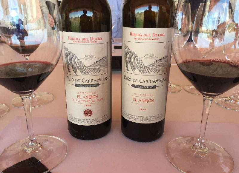 TOP WINE TOUR RIBERA DEL DUERO<br /><strong>Tour en ESPAÑOL <strong class='extra_info_articulo'>- desde 350.00 € </strong></strong>