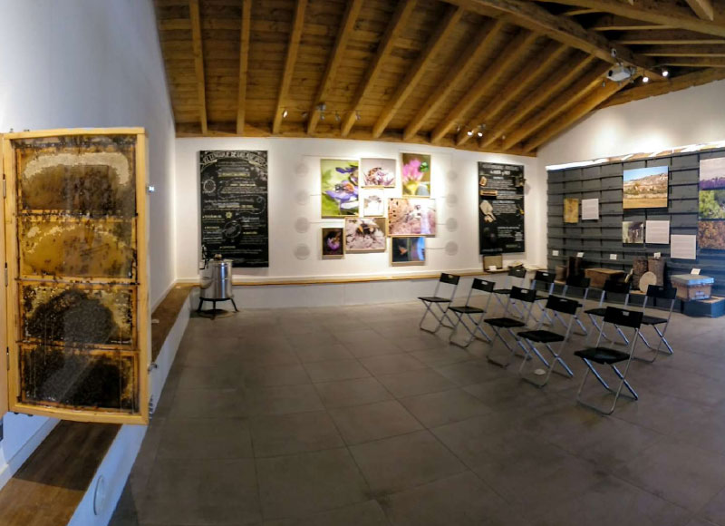 TREN, CULTURA Y VINO EN RUTA DEL VINO CIGALES - Experiencia abejas y bodega - desde 155.00 €