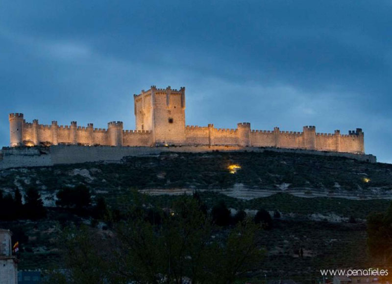 TREN CULTURA Y VINO D.O. RIBERA<br /><strong>Castillo y vino Ruta del vino de Ribera de Duero <strong class='extra_info_articulo'>- desde 260.00 € </strong></strong>