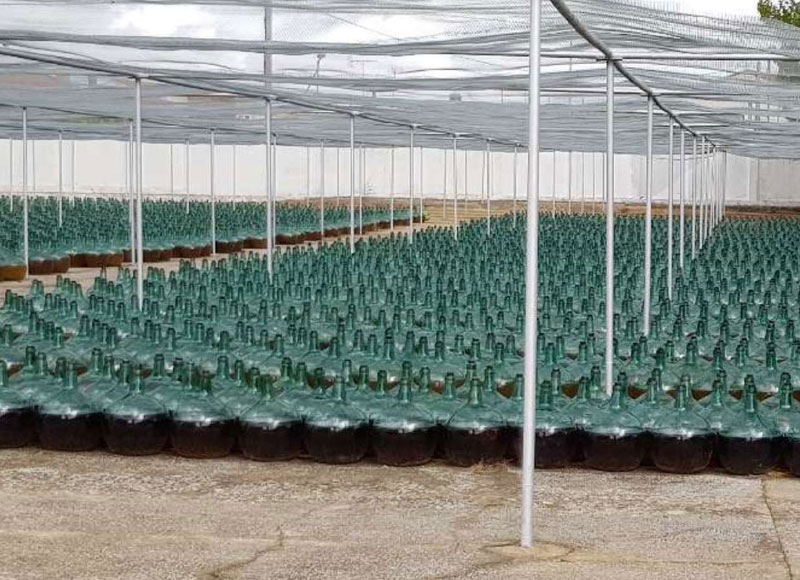 ALOJAMIENTO EN VALLADOLID Y EXCURSIÓN DE 1 DÍA POR RUEDA, BODEGA SUBTERRÁNEA, LECHAZO Y PALOMAR<br /><strong>Alojamiento, bodega, lechazo y palomar <strong class='extra_info_articulo'>- desde 130.00 € </strong></strong>
